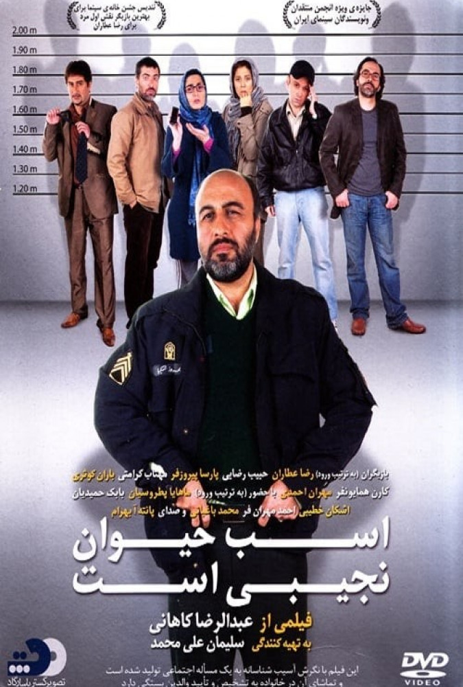 فیلم اسب حیوان نجیبی است